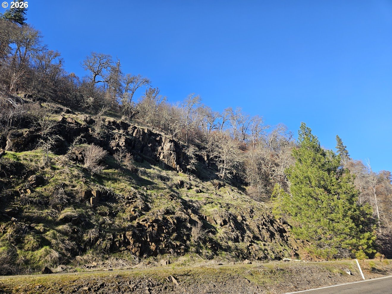 Wahkiacus Heights Road Klickitat, WA 98670 - Photo 31 of 42 a view of a yard with a tree