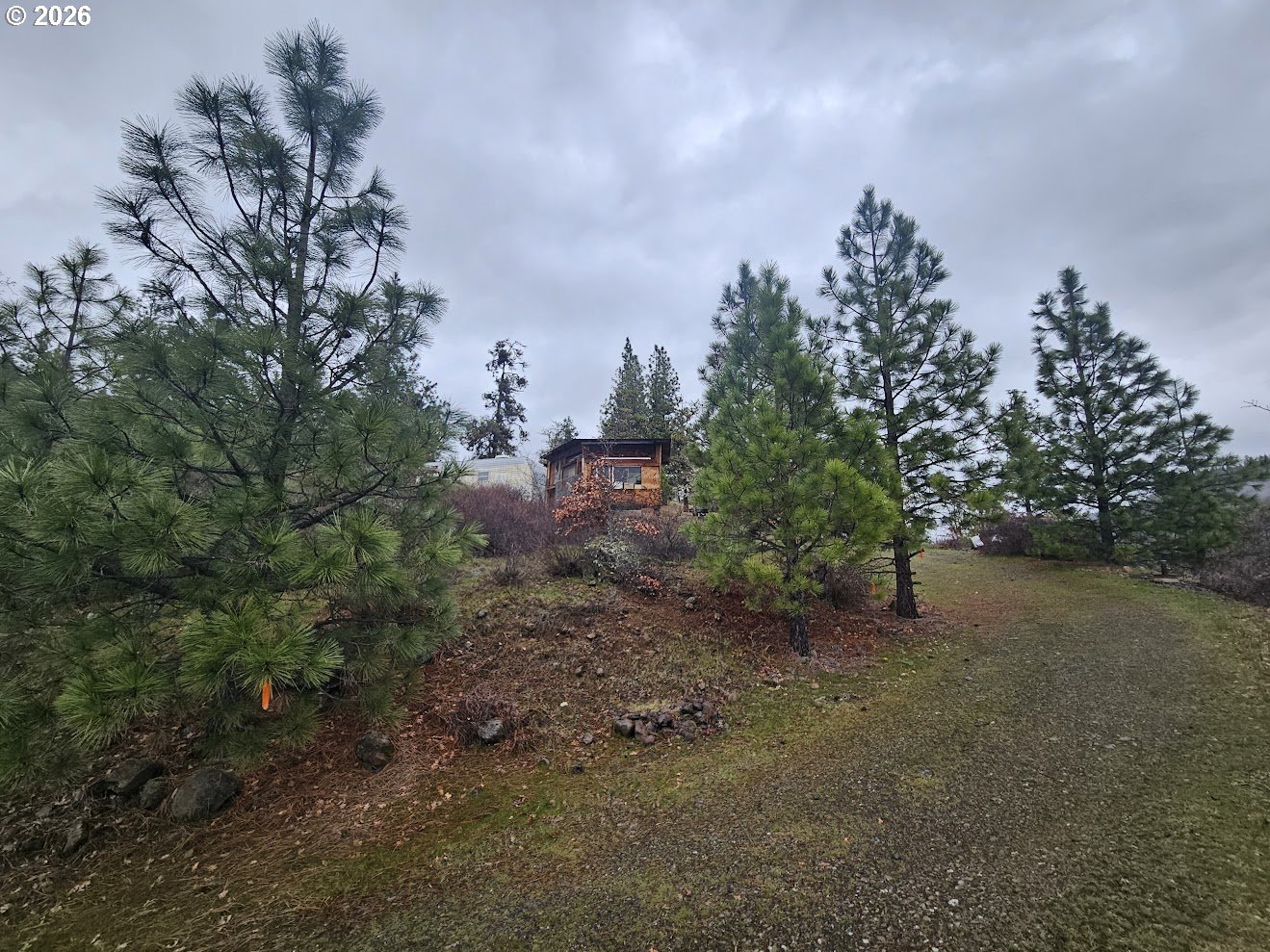 Wahkiacus Heights Road Klickitat, WA 98670 - Photo 32 of 42 a view of a forest with trees in the background