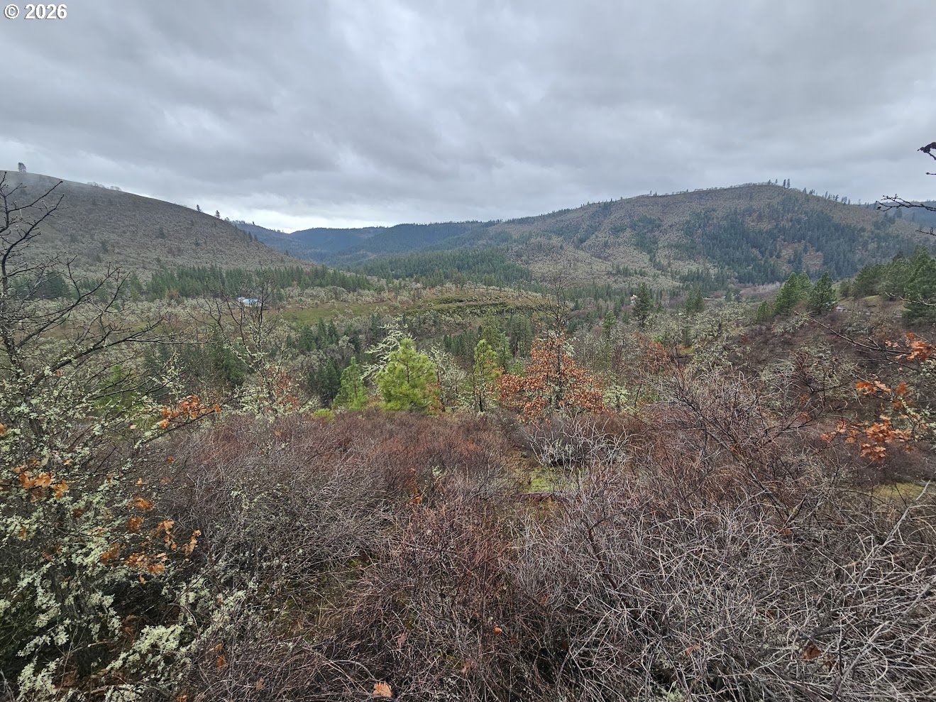 Wahkiacus Heights Road Klickitat, WA 98670 - Photo 33 of 42 a view of a dry yard with mountains in the background