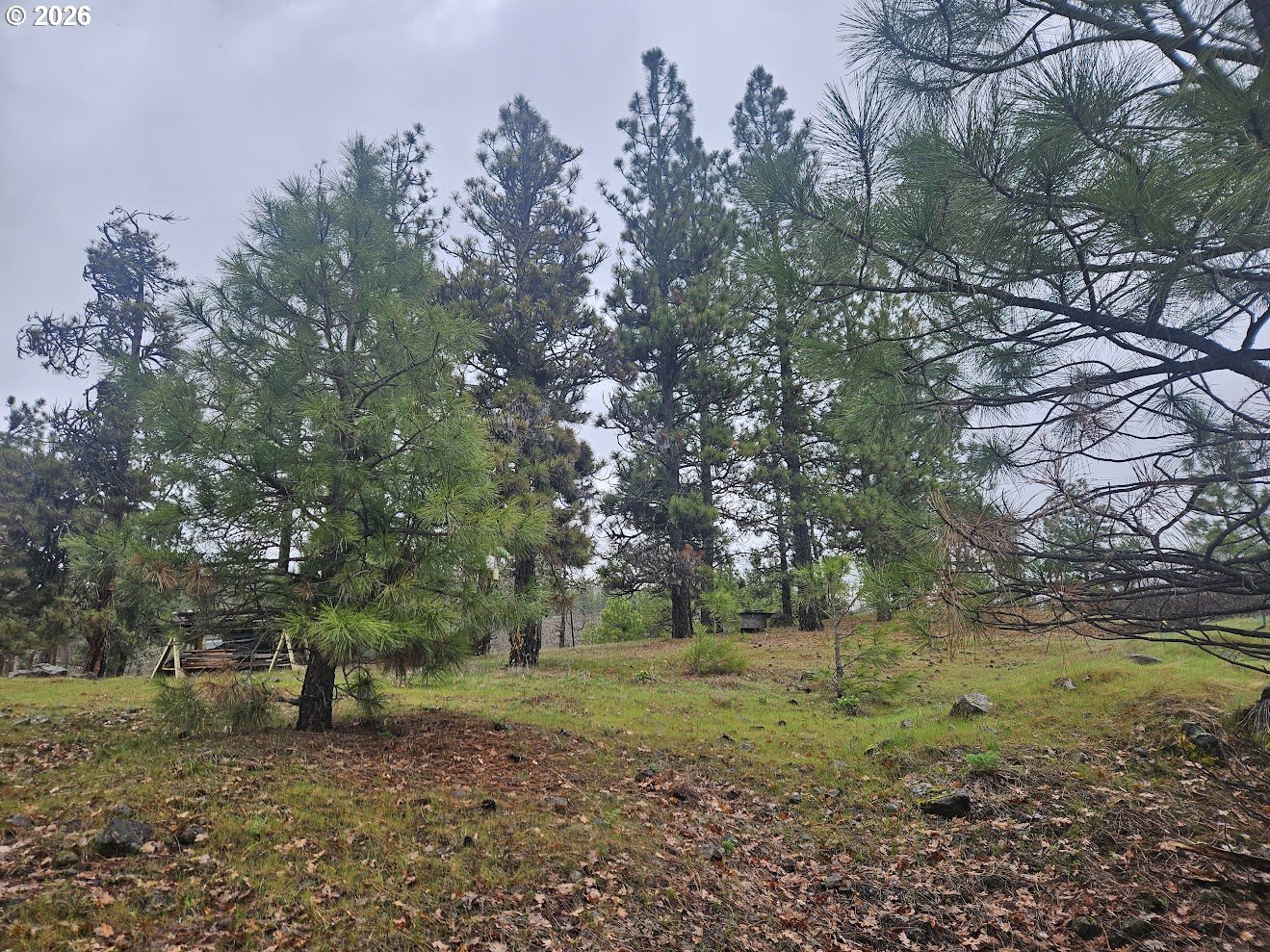Wahkiacus Heights Road Klickitat, WA 98670 - Photo 40 of 42 a big yard with lots of green space and house view