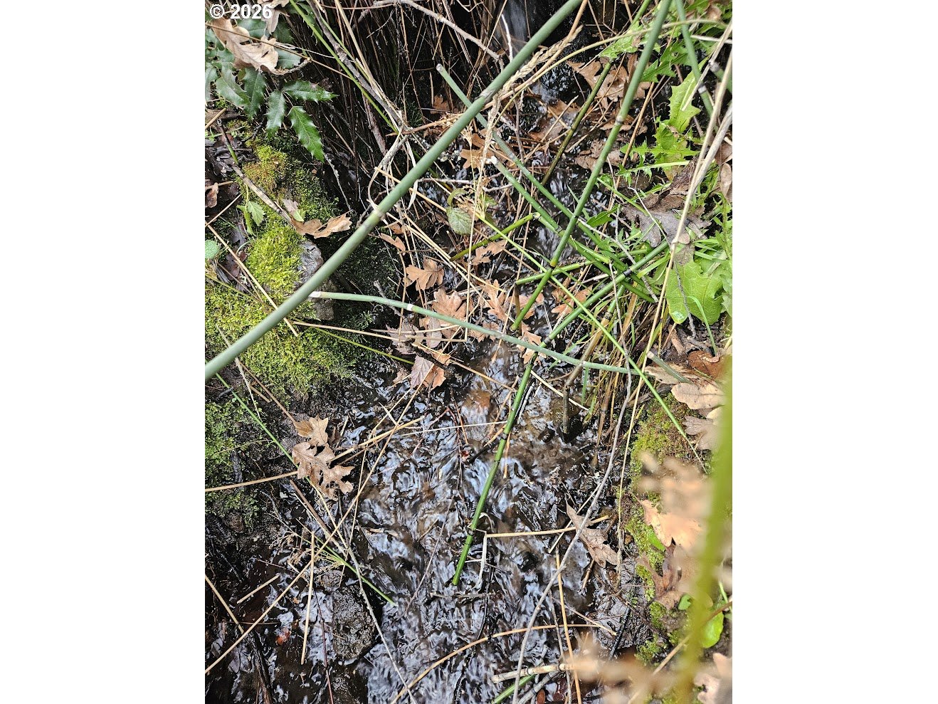 Wahkiacus Heights Road Klickitat, WA 98670 - Photo 4 of 42 a picture of a wall with a window