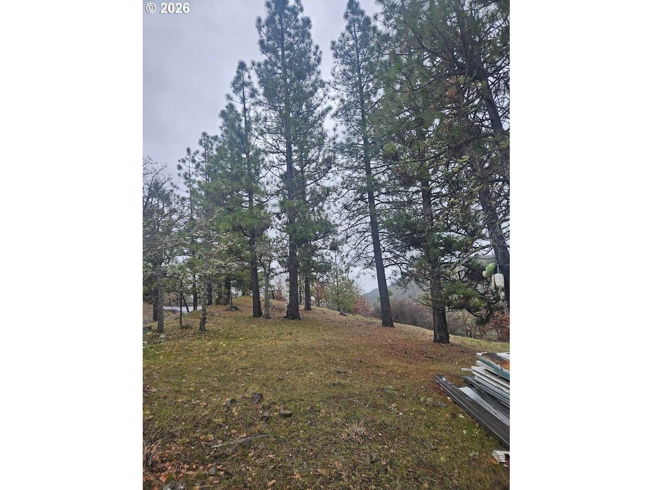 Wahkiacus Heights Road Klickitat, WA 98670 - Photo 41 of 42 a view of a forest with trees in the background
