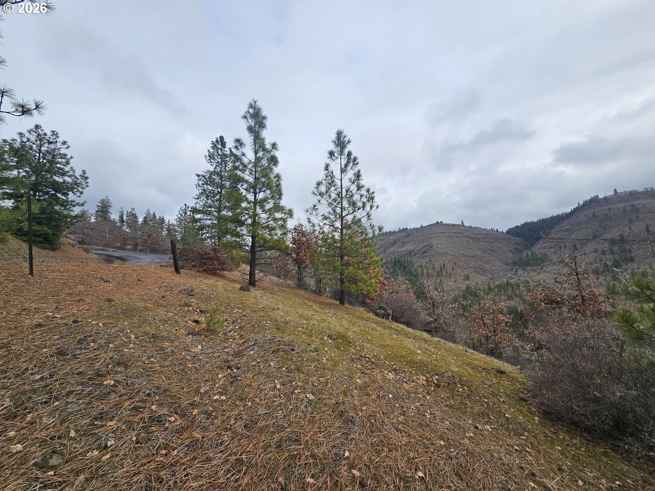 Wahkiacus Heights Road Klickitat, WA 98670 - Photo 6 of 42 a view of a covered with snow in the background