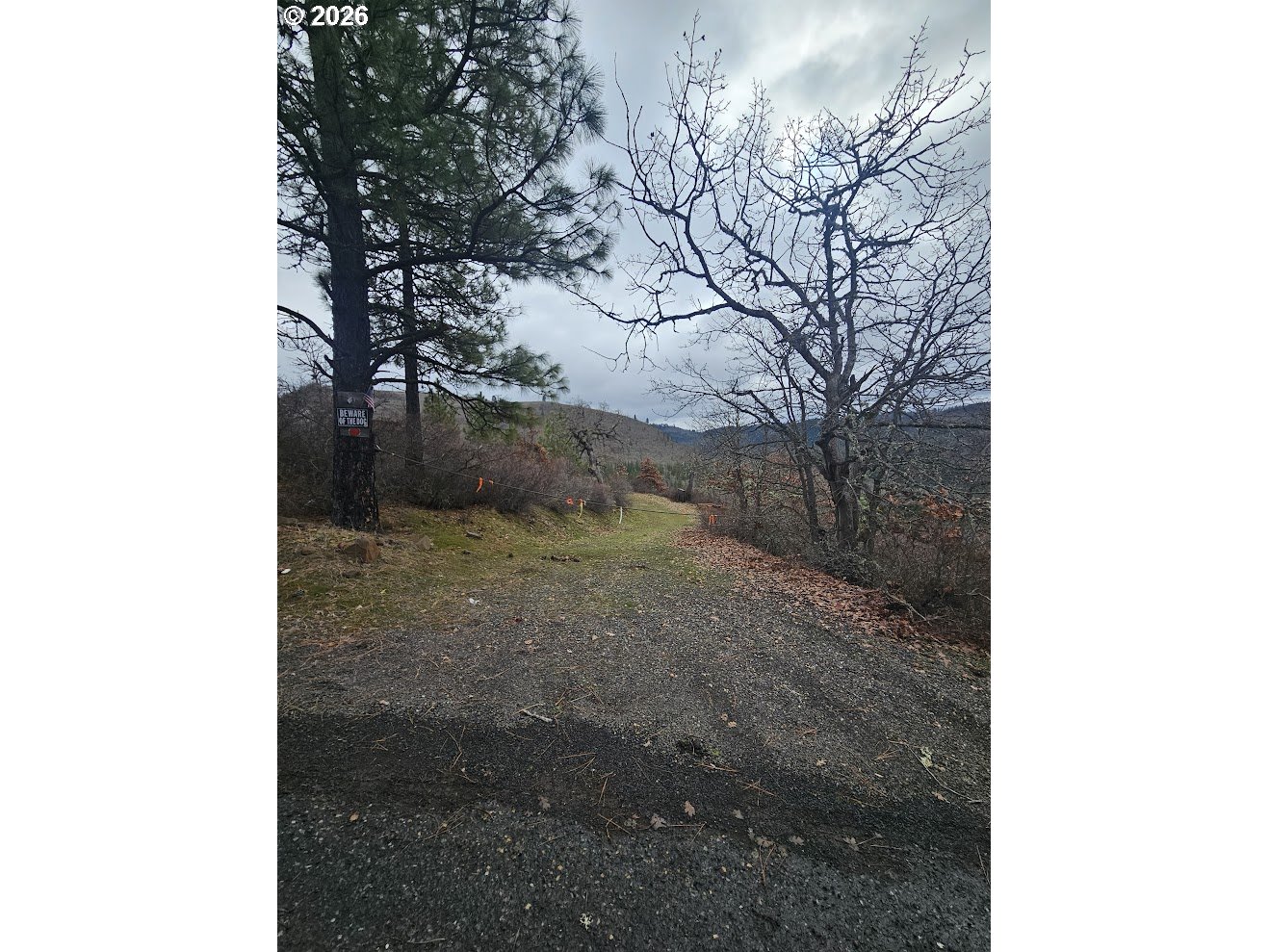 Wahkiacus Heights Road Klickitat, WA 98670 - Photo 7 of 42 a view of a yard with trees