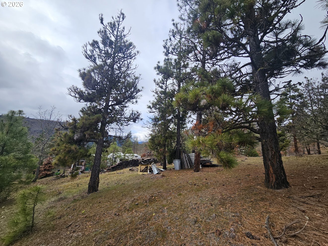 Wahkiacus Heights Road Klickitat, WA 98670 - Photo 9 of 42 a view of road with trees