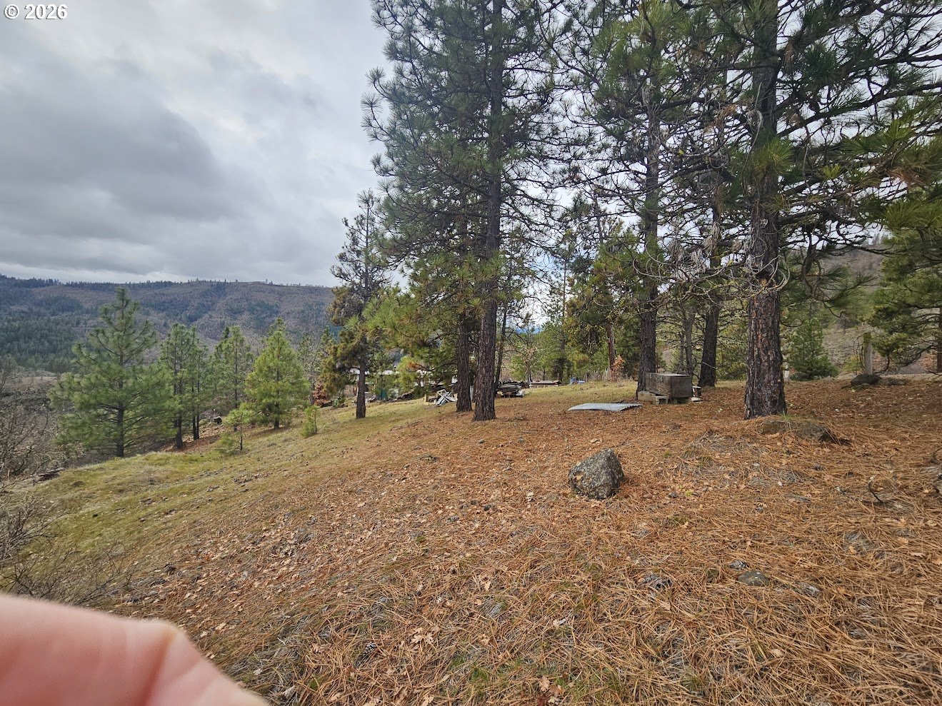 Wahkiacus Heights Road Klickitat, WA 98670 - Photo 10 of 42 a view of outdoor space with trees