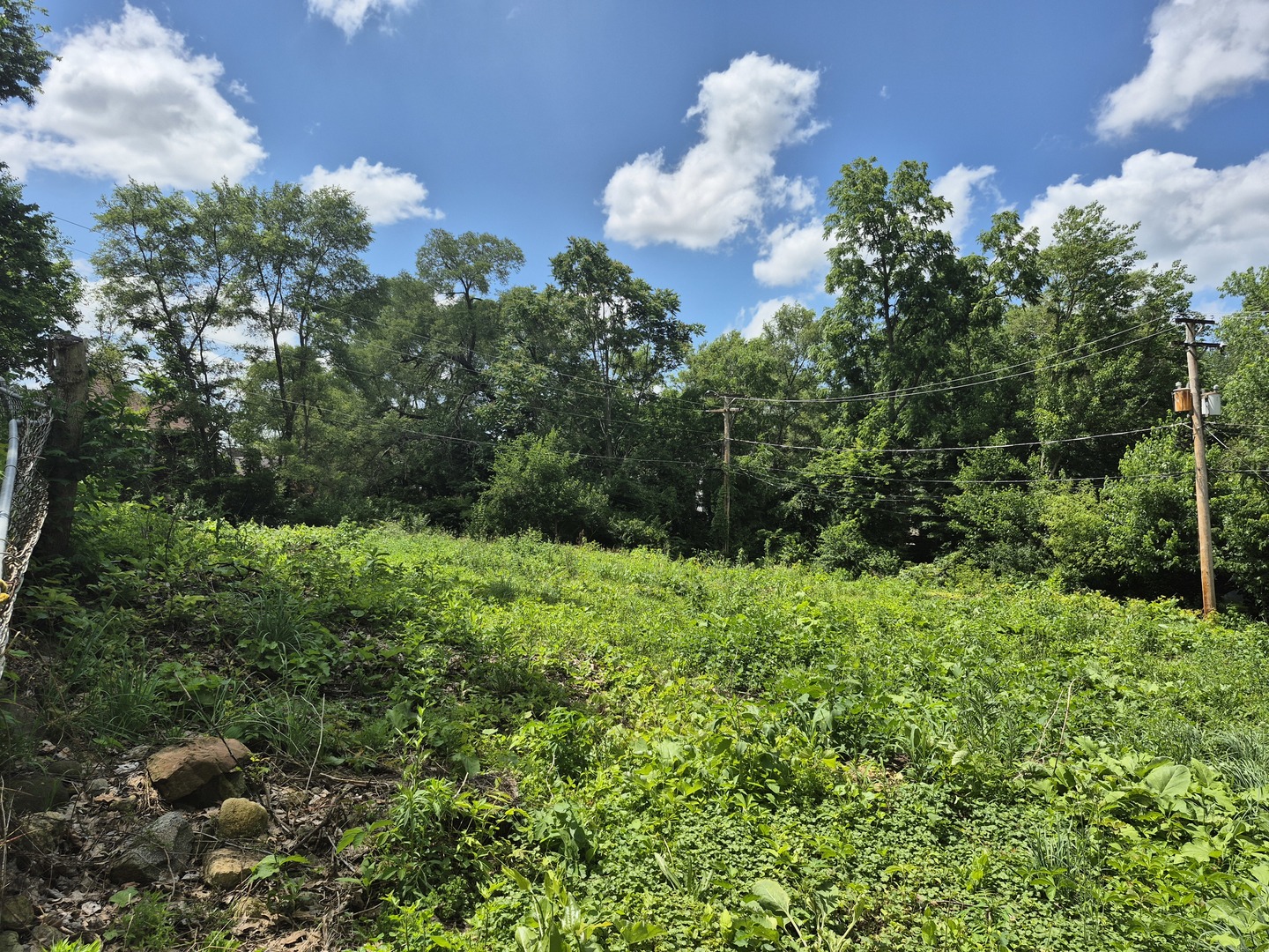 111 Court Street Joliet, IL 60433 - Photo 5 of 6 a view of a bunch of trees and flowers