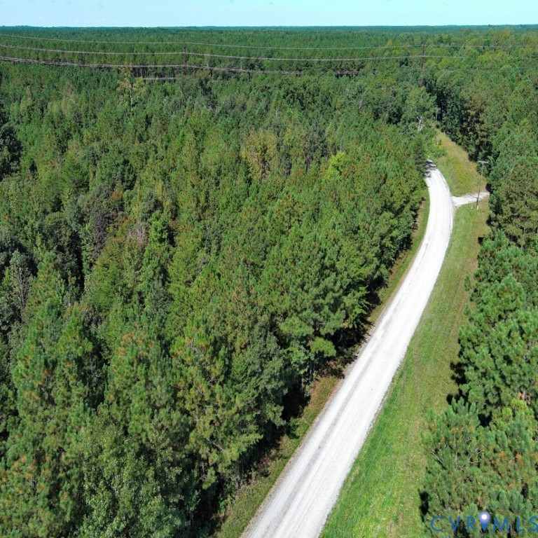 0 Exol Road King and Queen Court House, VA 23085 - Photo 15 of 21 a view of a lush green forest with lots of trees