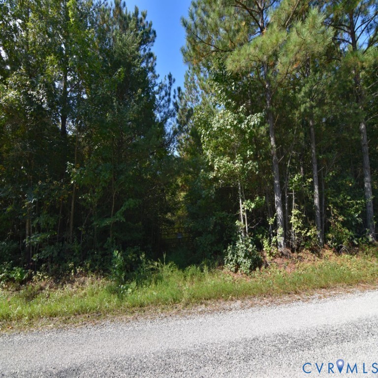 0 Exol Road King and Queen Court House, VA 23085 - Photo 5 of 21 a view of outdoor space and covered with trees
