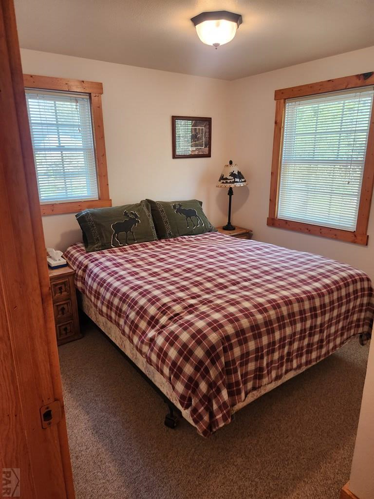181 Lion Gulch Road Rye, CO 81069 - Photo 11 of 21
