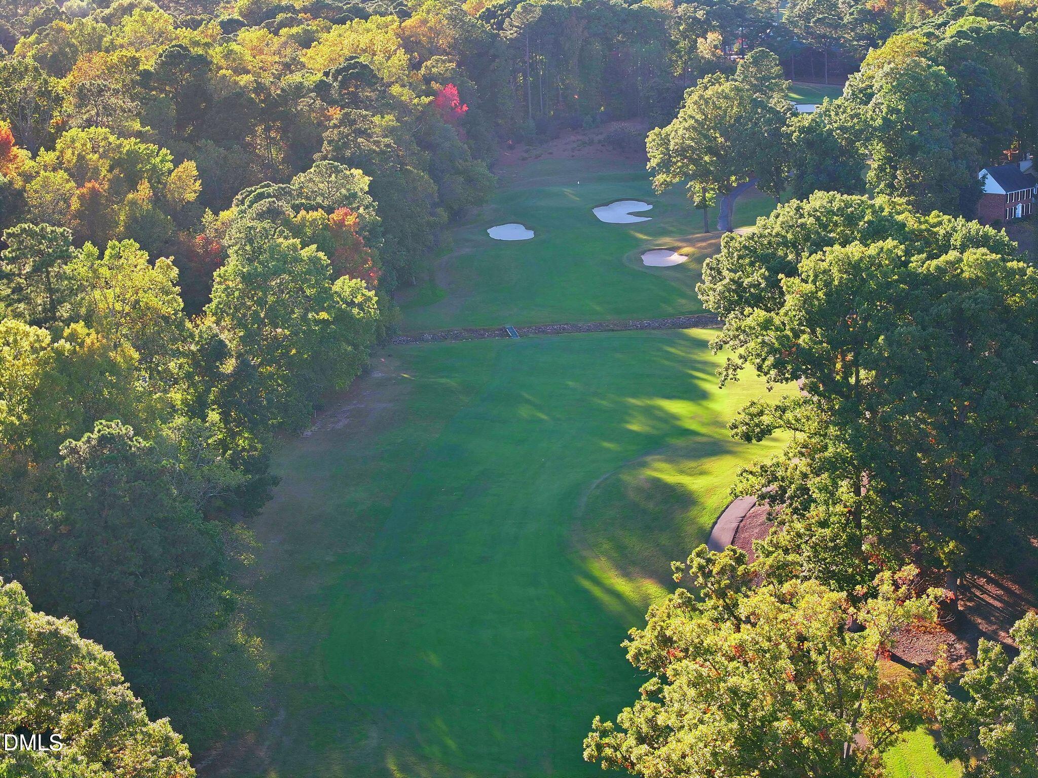 2205 Landings Way Raleigh, NC 27615 - Photo 30 of 35 a close up of a flower in a garden