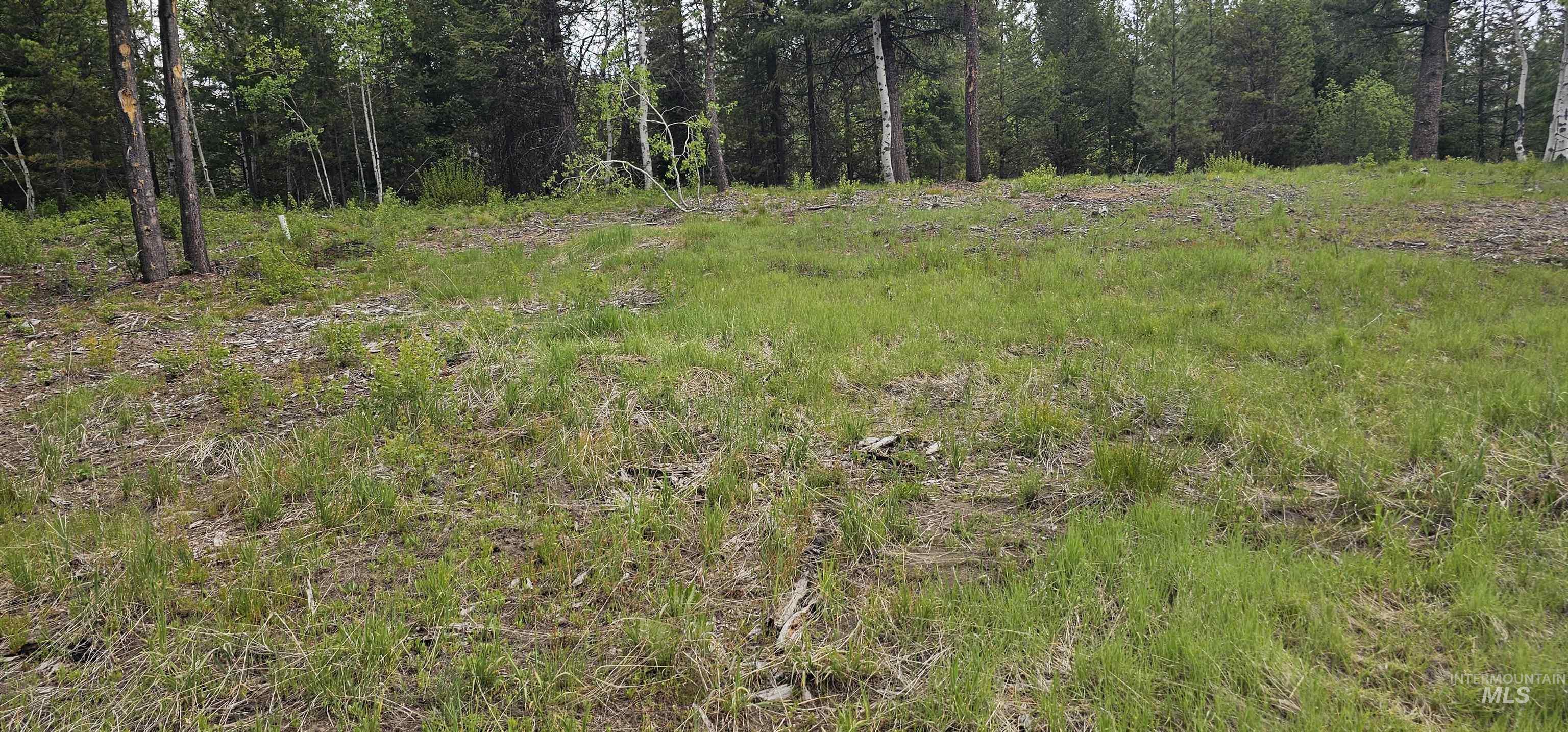 23 Sawtooth Loop Cascade, ID 83611 - Photo 12 of 45