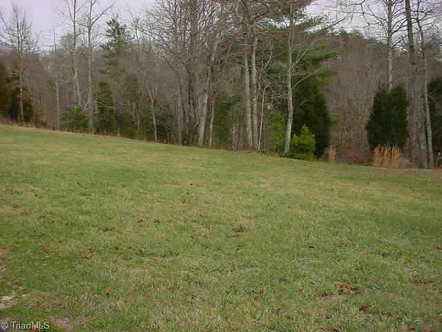 4985 Whitman Road Pfafftown, NC 27040 - Photo 2 of 8 Other. Back yard with a creek at the back of the property