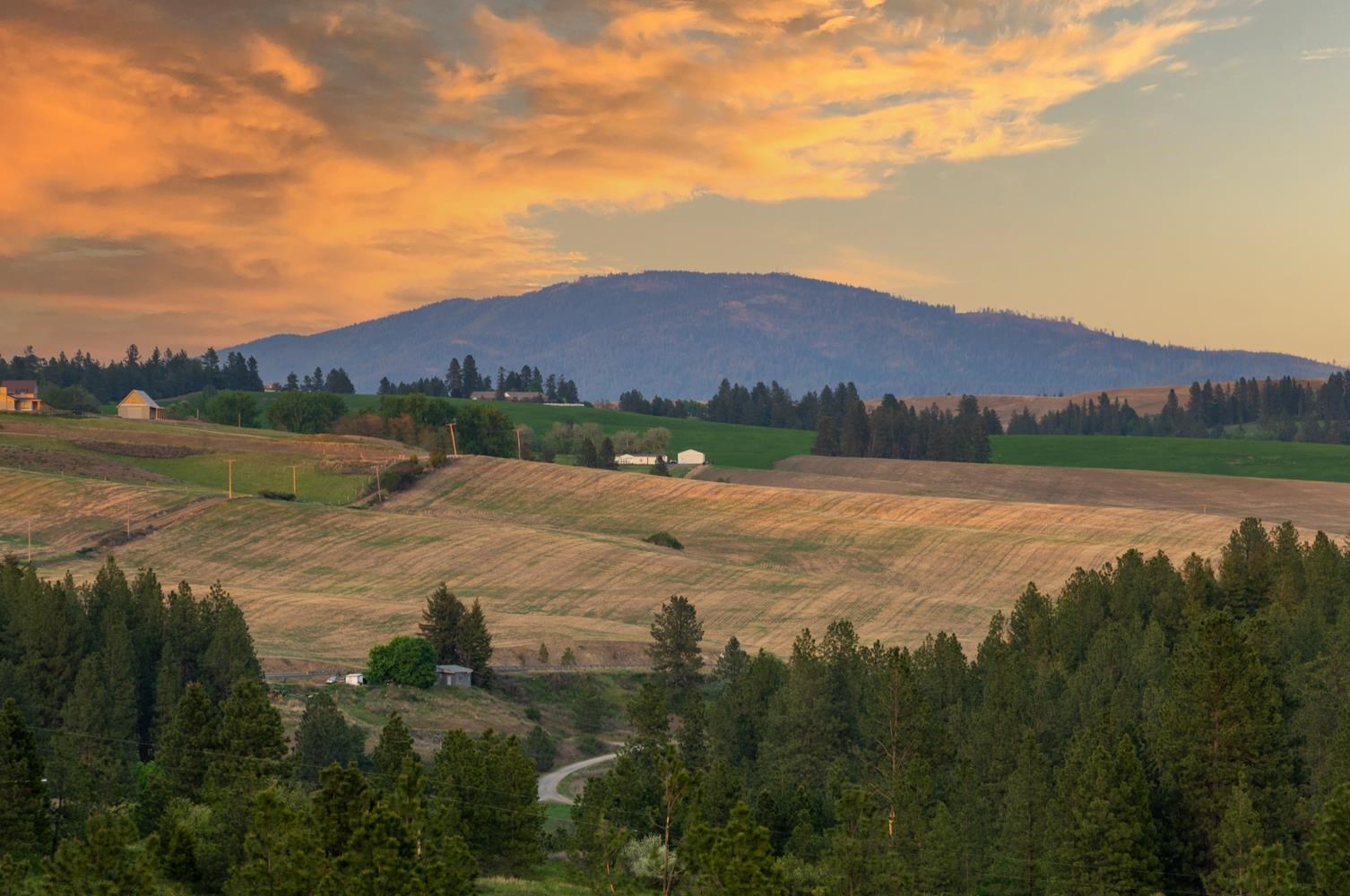 11501 South Freya Road Spokane, WA 99223 - Photo 39 of 40 Gallery Image 39