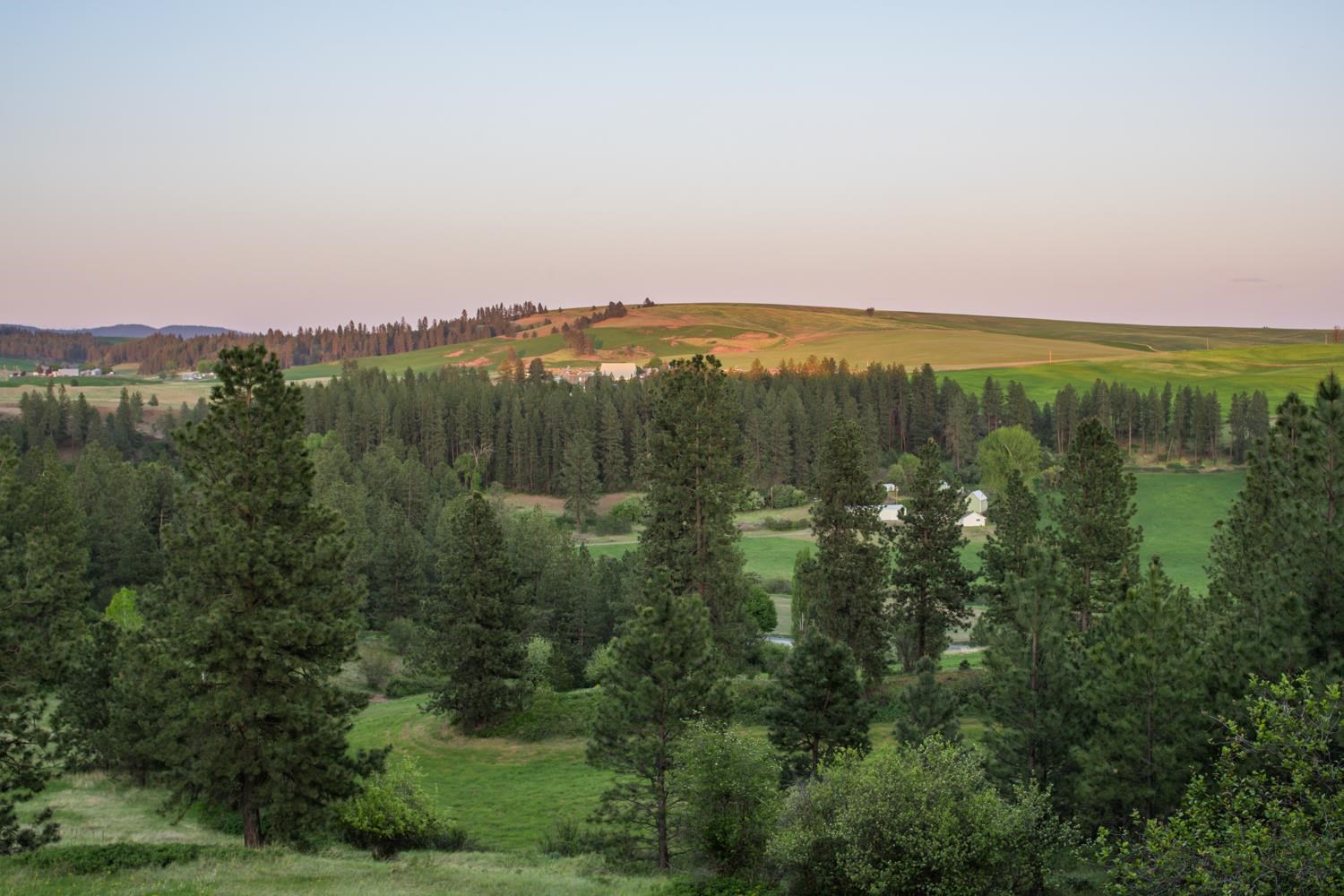 11501 South Freya Road Spokane, WA 99223 - Photo 40 of 40 Gallery Image 40