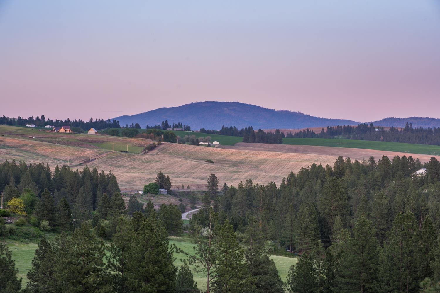 11501 South Freya Road Spokane, WA 99223 - Photo 8 of 40 Gallery Image 8