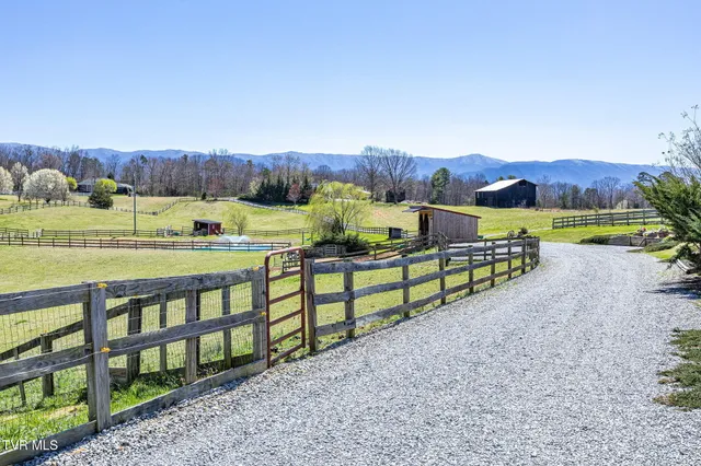 $674,900 | 1151 John Bird Road, Afton, TN 37616