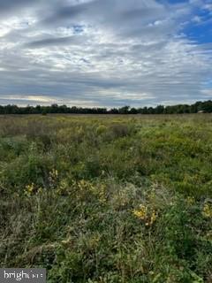 Liberty Road Bealeton, VA 22712 - Photo 8 of 8 Acreage