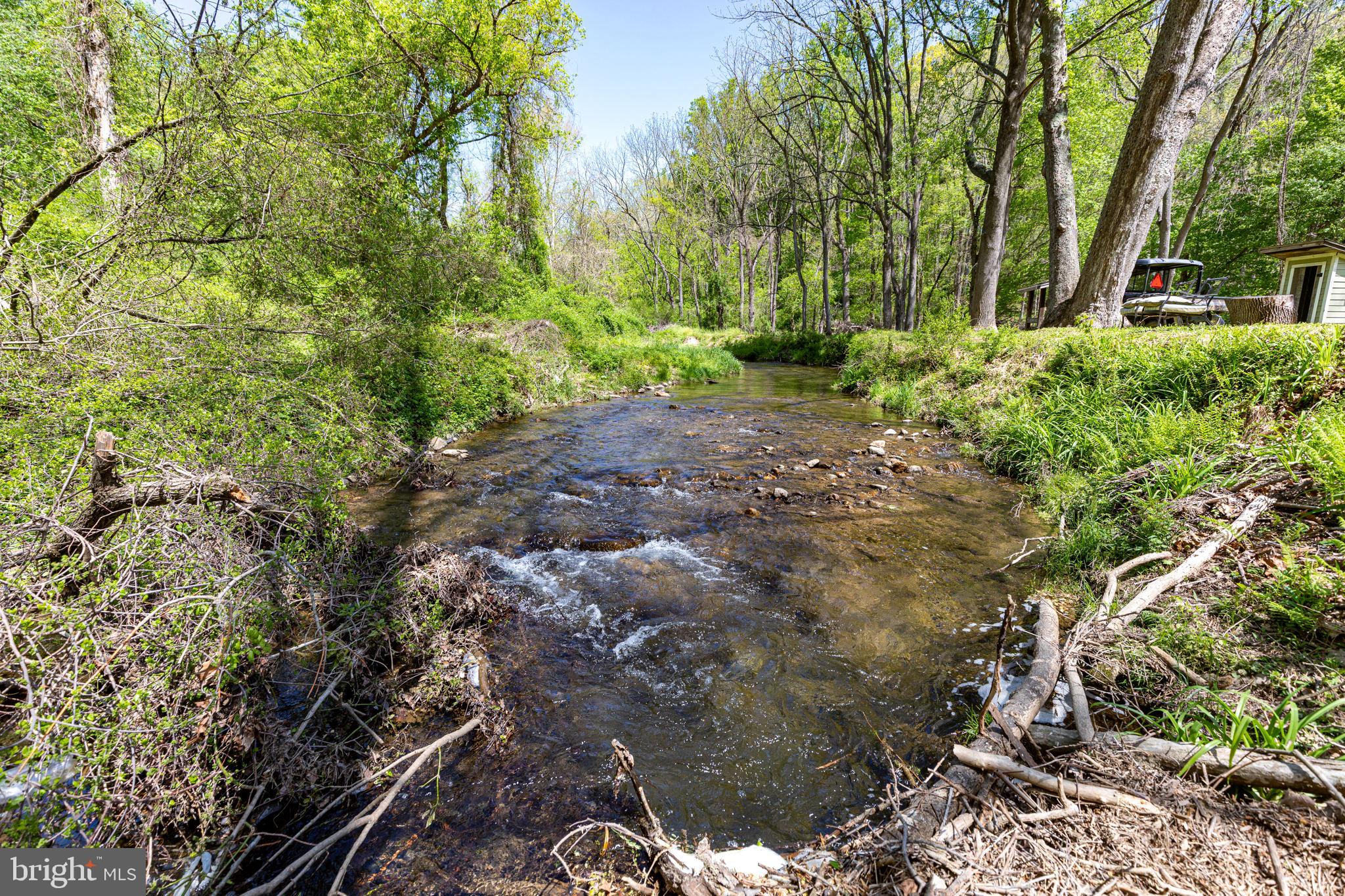 2310 Putnam Road Forest Hill, MD 21050 - Photo 10 of 90 Serene stream in lush greenery.