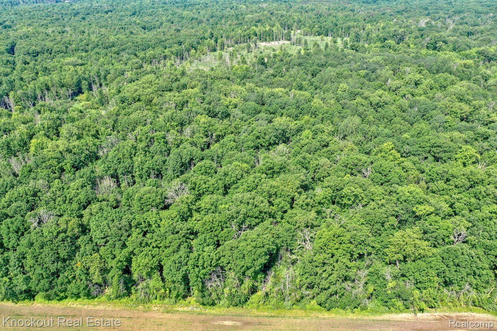 1000 West Kitchen Road Rhodes, MI 48652 - Photo 13 of 34 Kitchen Lots Bay County-10.jpg