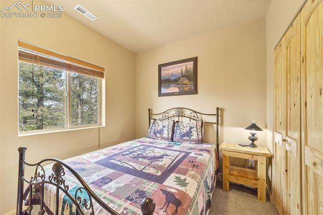 1055 Timber Ridge Road Divide, CO 80814 - Photo 29 of 47 Bedroom featuring visible vents and carpet