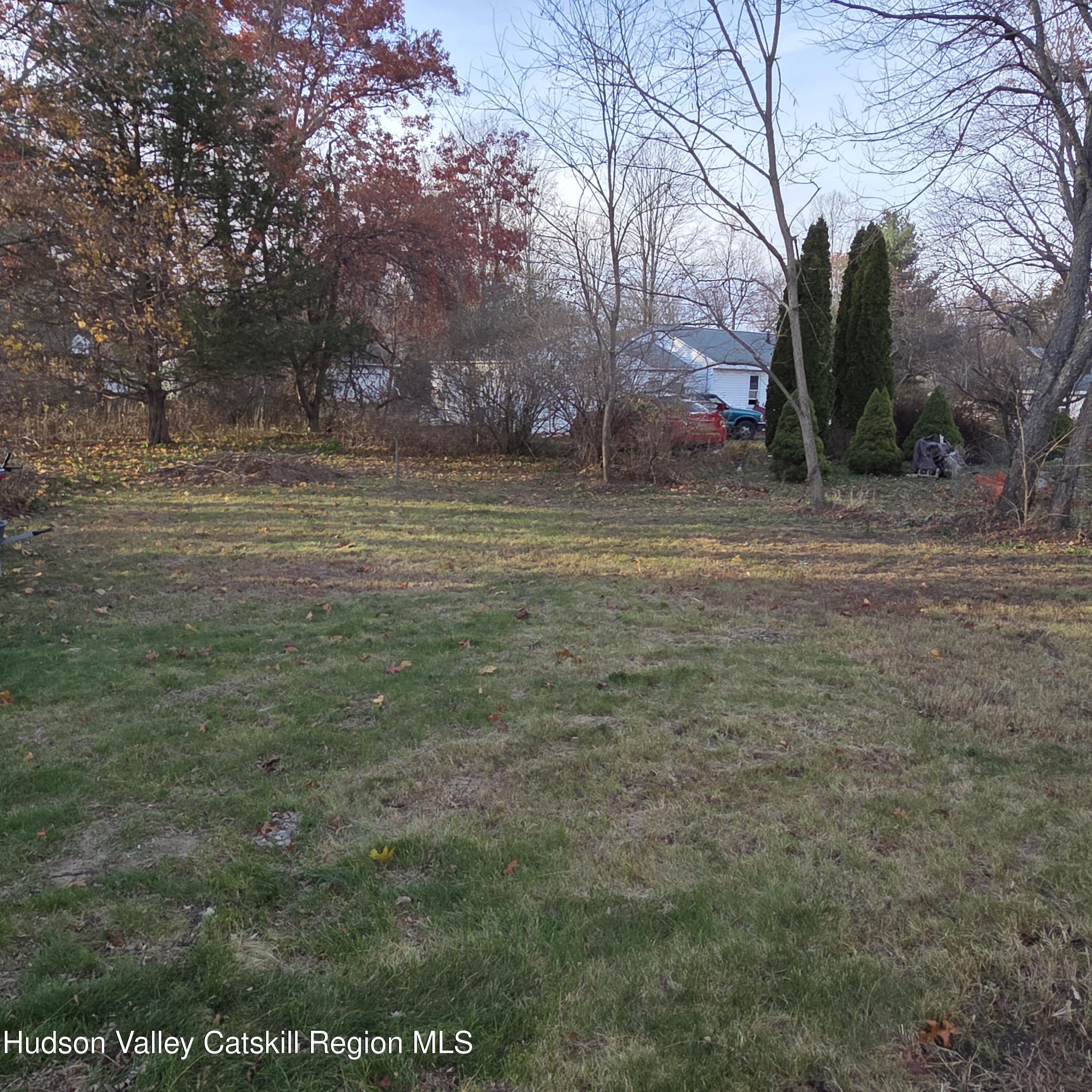 233 Washington Road, Unit JTN WITH MT VIEW ROAD Copake, NY 12516 - Photo 3 of 21 20251115_151443