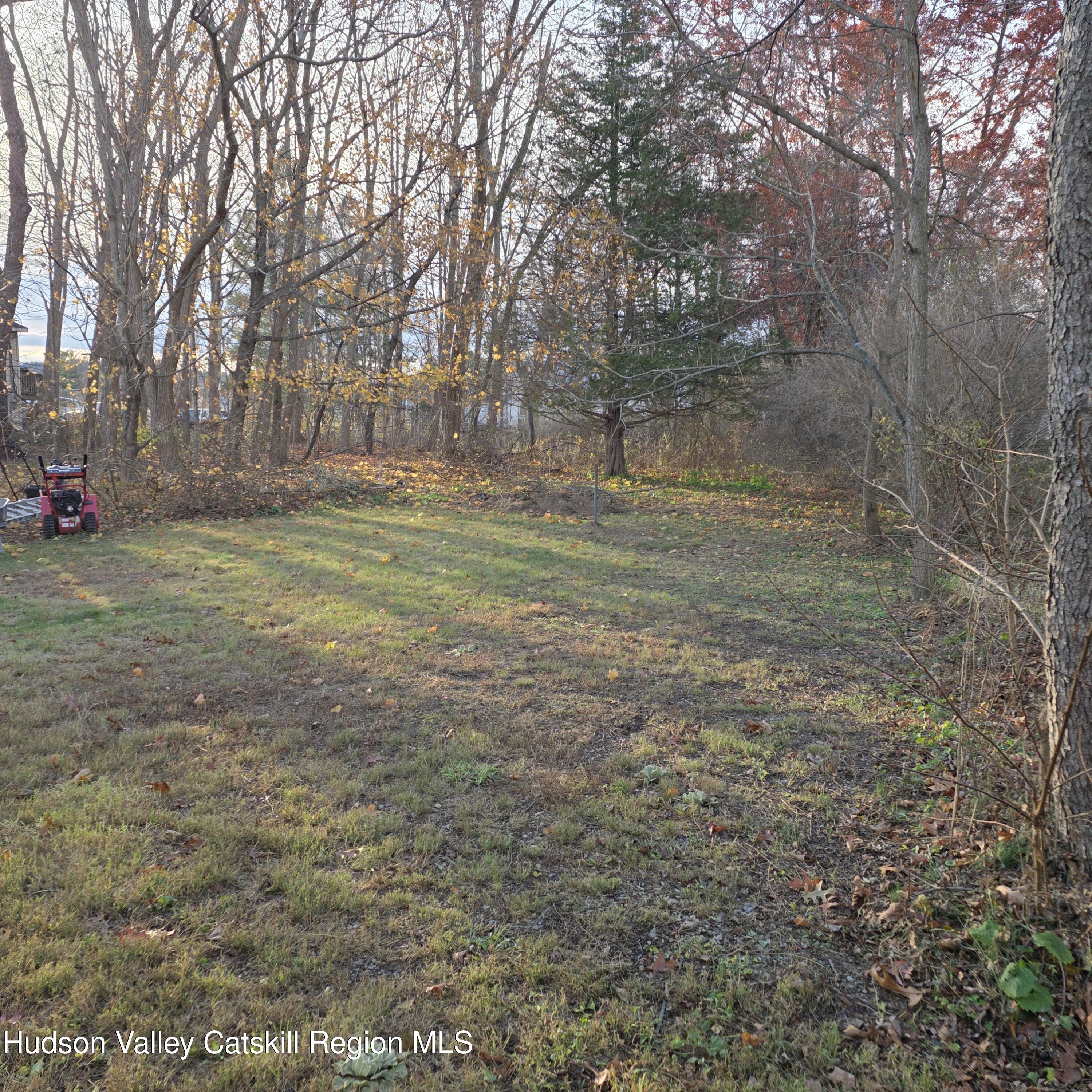 233 Washington Road, Unit JTN WITH MT VIEW ROAD Copake, NY 12516 - Photo 4 of 21 20251115_151502