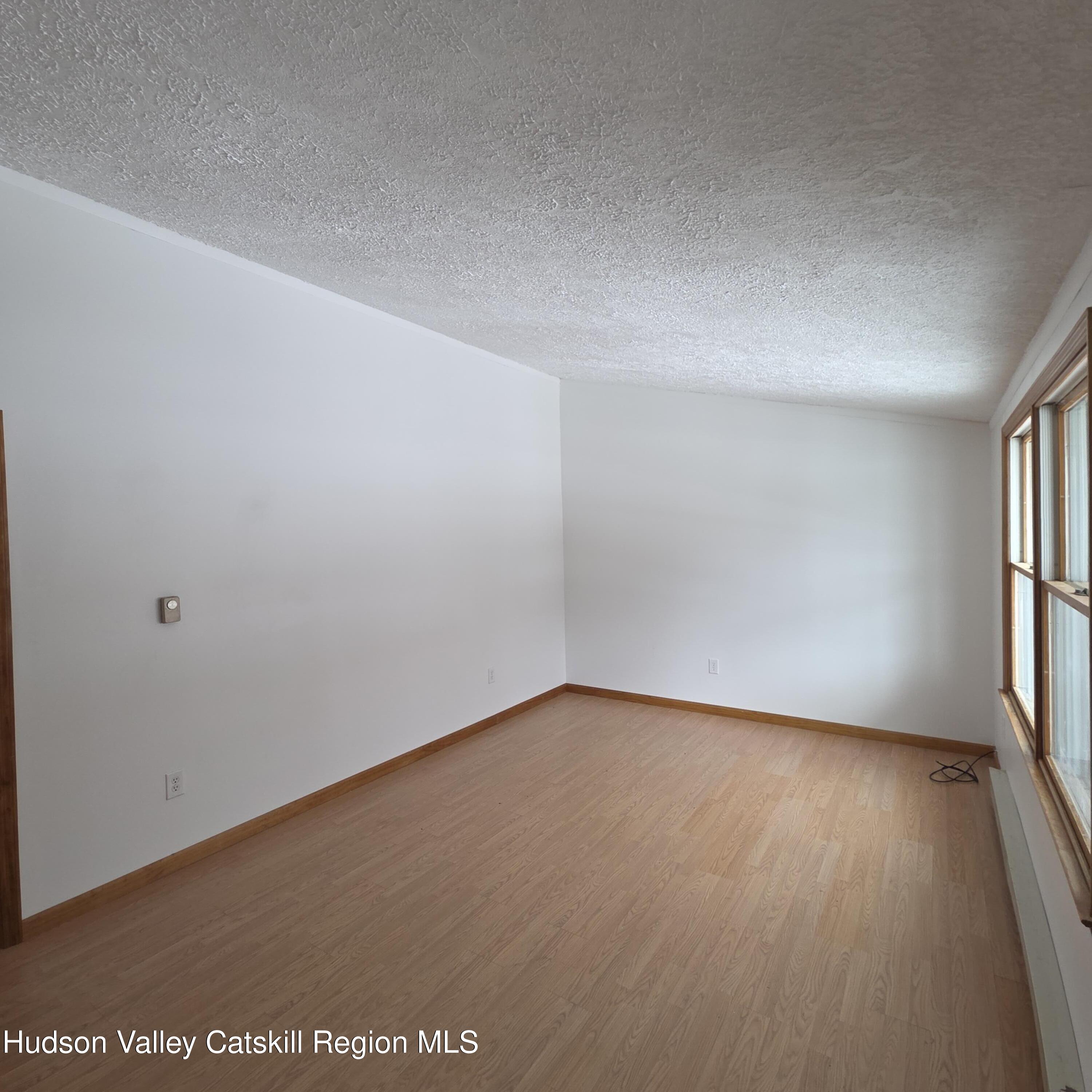 233 Washington Road, Unit JTN WITH MT VIEW ROAD Copake, NY 12516 - Photo 6 of 21 20260212_121710