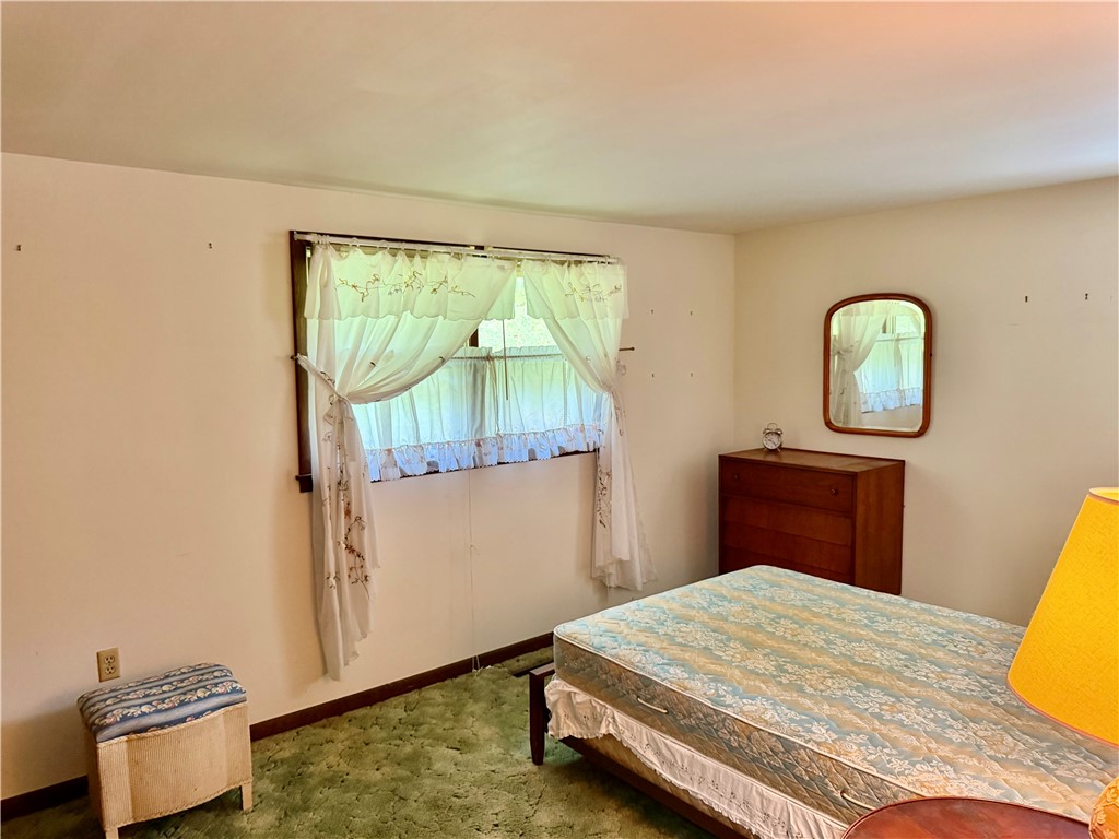 10 Weaver Creek Road Erwin, NY 14870 - Photo 19 of 21 Gallery Image 19