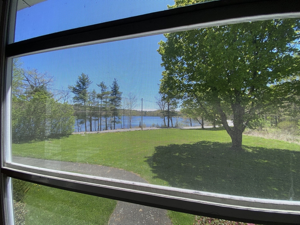 109 Brookfield Road Brimfield, MA 01010 - Photo 15 of 19 a view of a back yard from a window