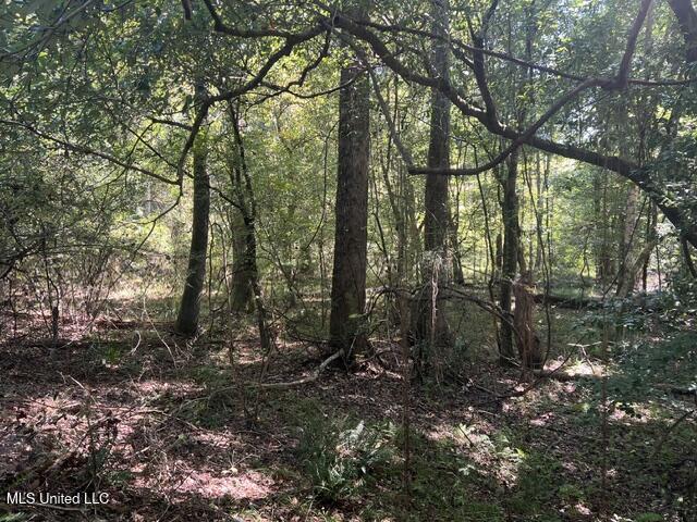 24 Co Road Enterprise, MS 39330 - Photo 13 of 14 image20