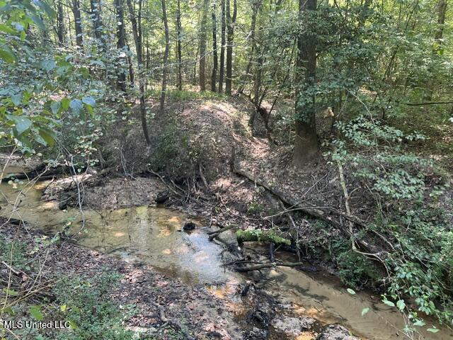 24 Co Road Enterprise, MS 39330 - Photo 14 of 14 image18