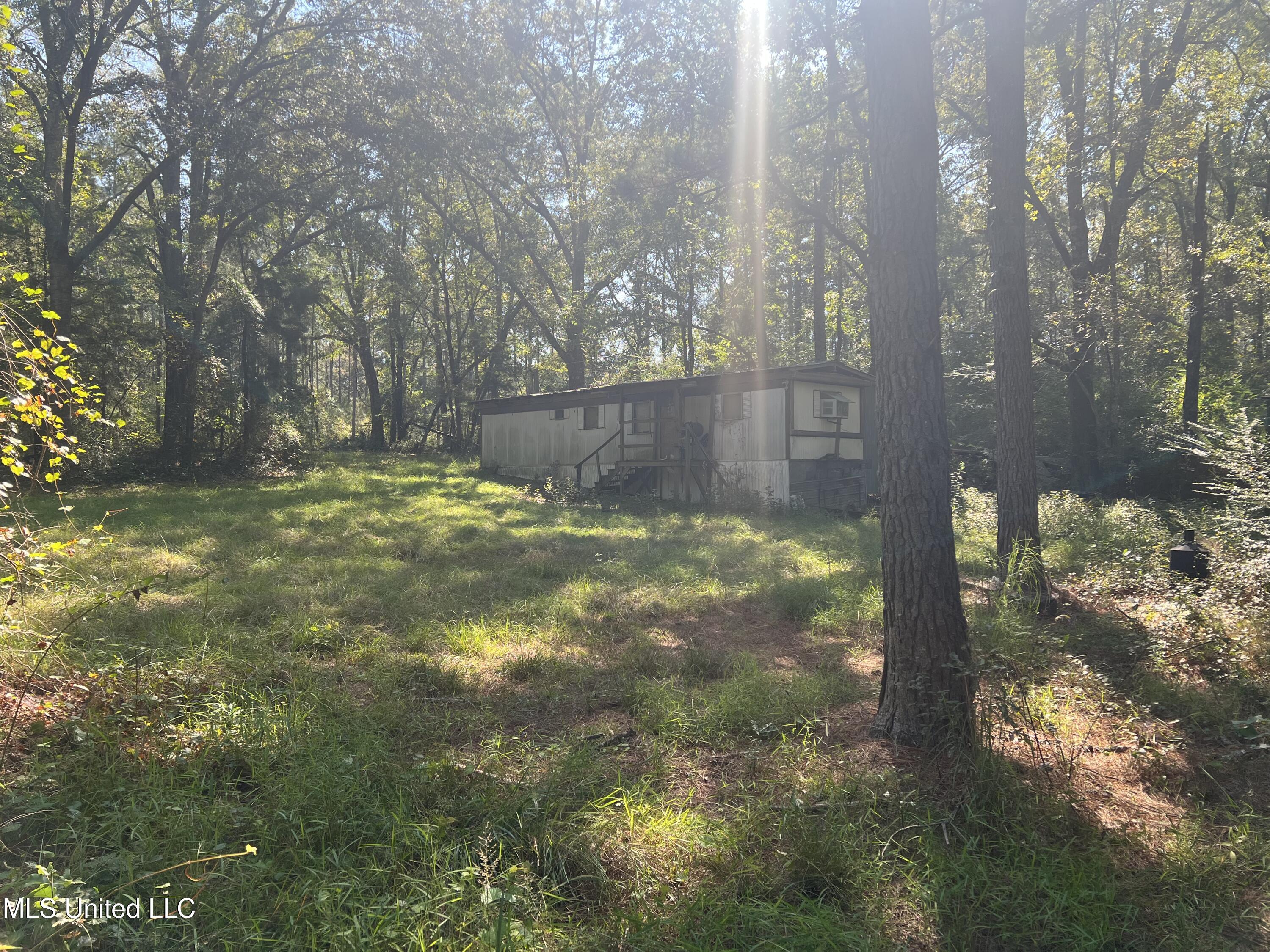 24 Co Road Enterprise, MS 39330 - Photo 2 of 14 IMG_6068