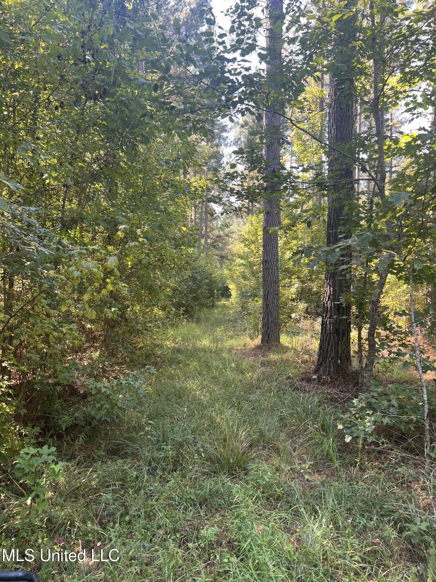 24 Co Road Enterprise, MS 39330 - Photo 4 of 14 IMG_6075