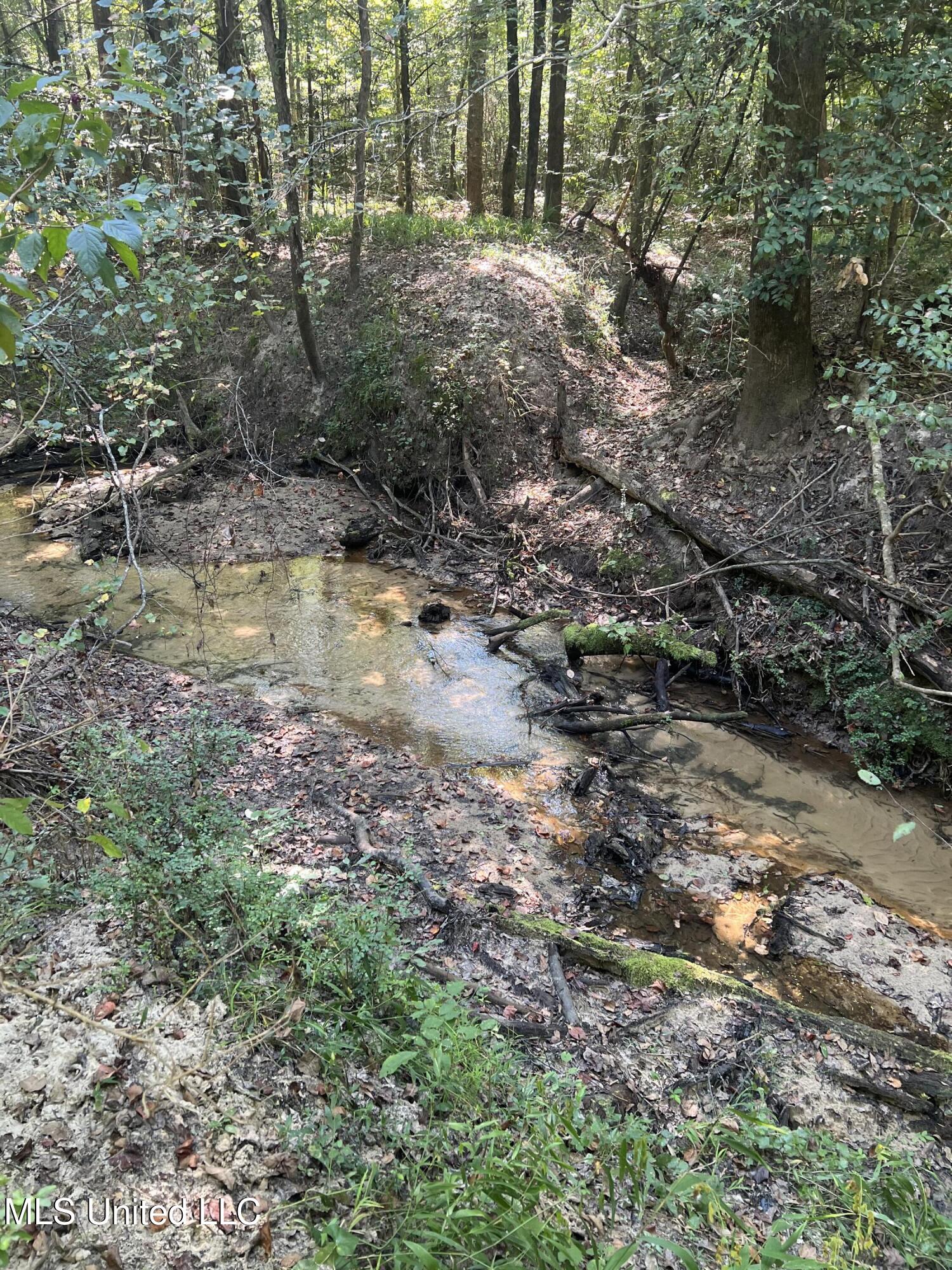 24 Co Road Enterprise, MS 39330 - Photo 5 of 14 IMG_6087