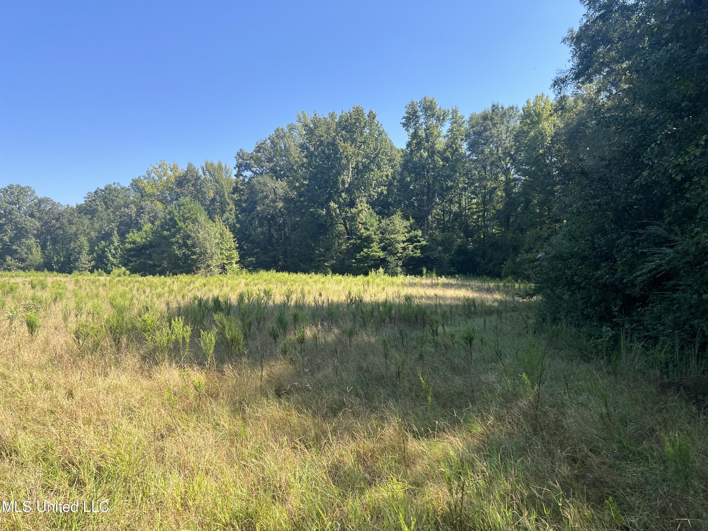 24 Co Road Enterprise, MS 39330 - Photo 6 of 14 IMG_6079