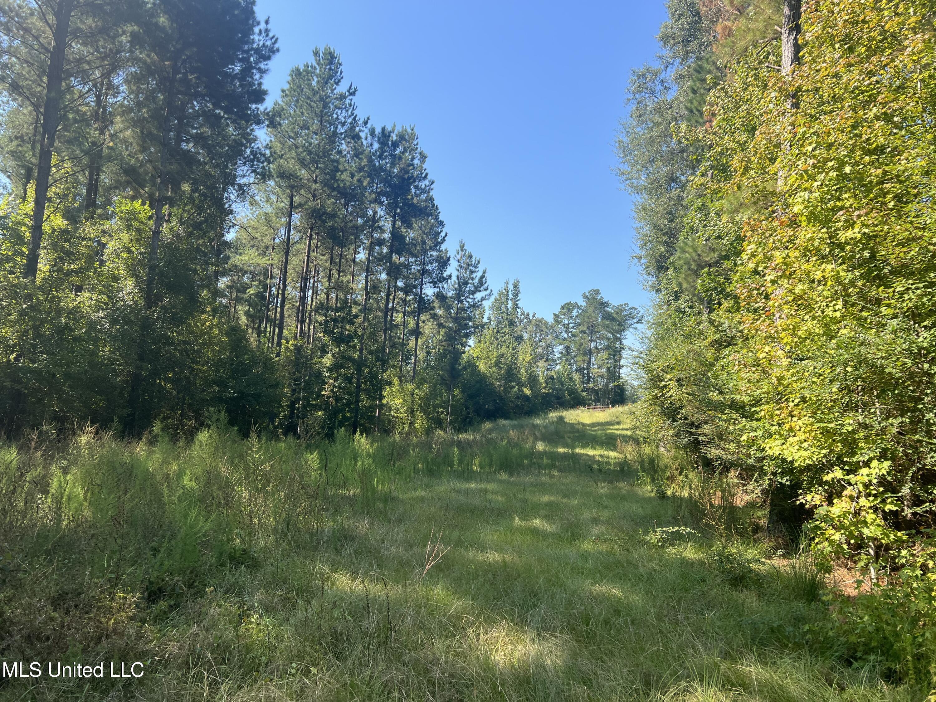 24 Co Road Enterprise, MS 39330 - Photo 7 of 14 IMG_6071