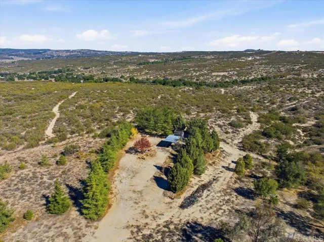 a view of a yard with a tree