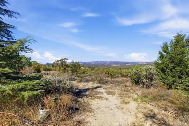 a fire hydrant in the middle of a forest