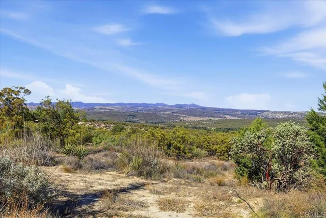 a view of a dry yard with trees