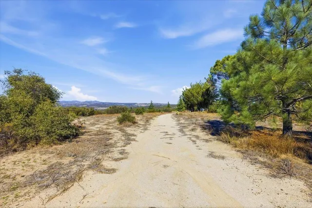 a view of a park with trees