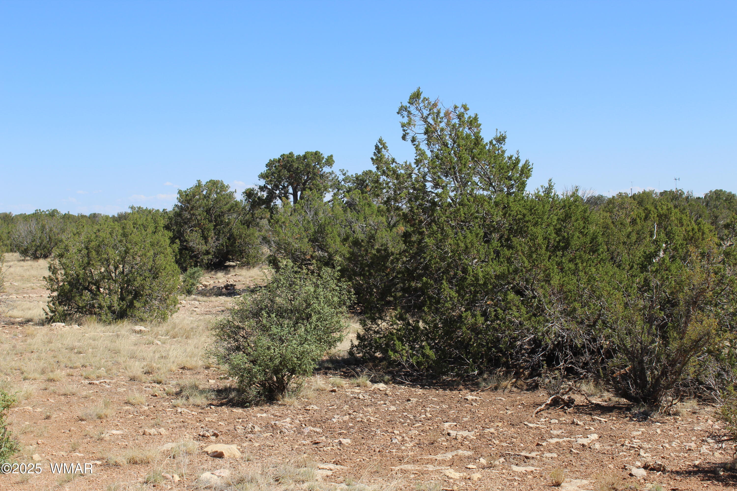 9 T14n R16e Heber, AZ 85928 - Photo 2 of 2 2