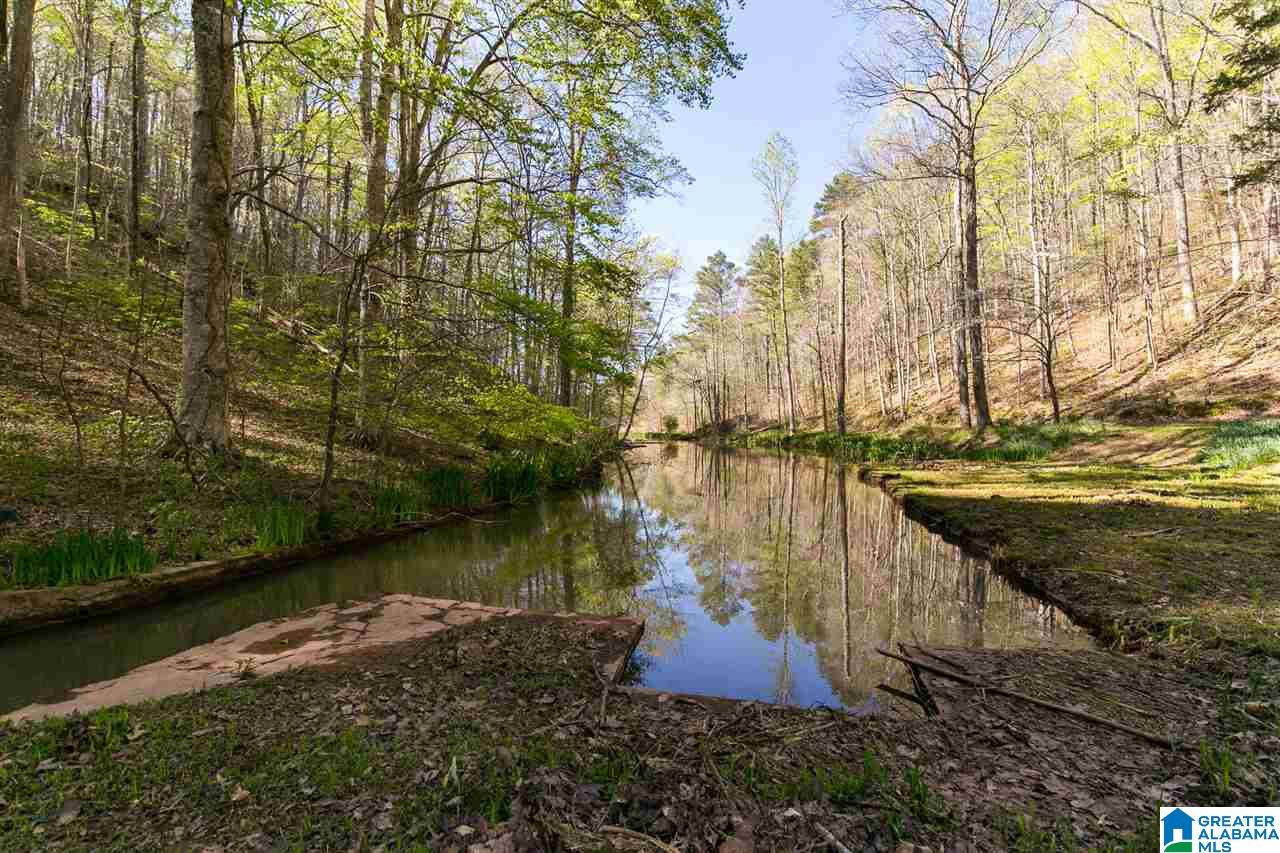 8751 Clayton Cove Road Springville, AL 35146 - Photo 5 of 44