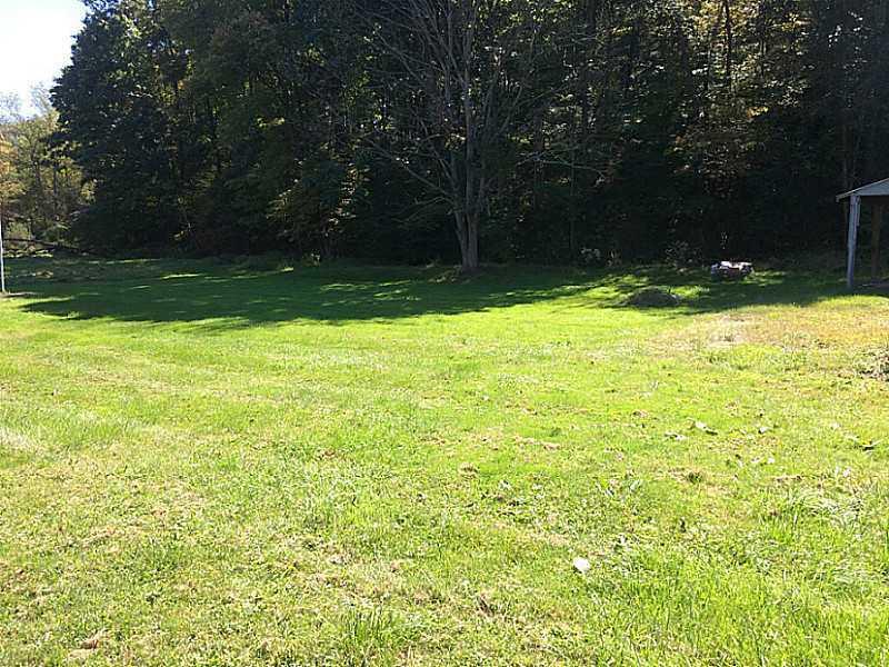 252 Heasley Hollow Road Vandergrift, PA 15690 - Photo 3 of 12 Yard/Garden.