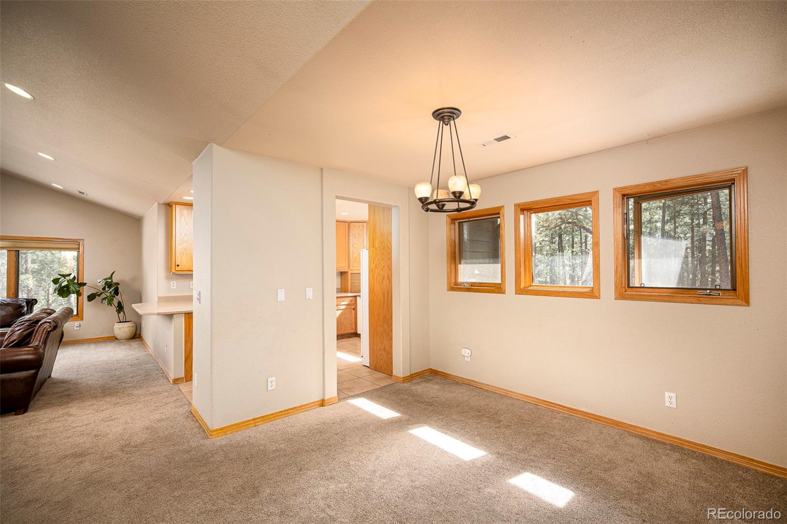 5014 South Perry Park Road Sedalia, CO 80135 - Photo 43 of 50