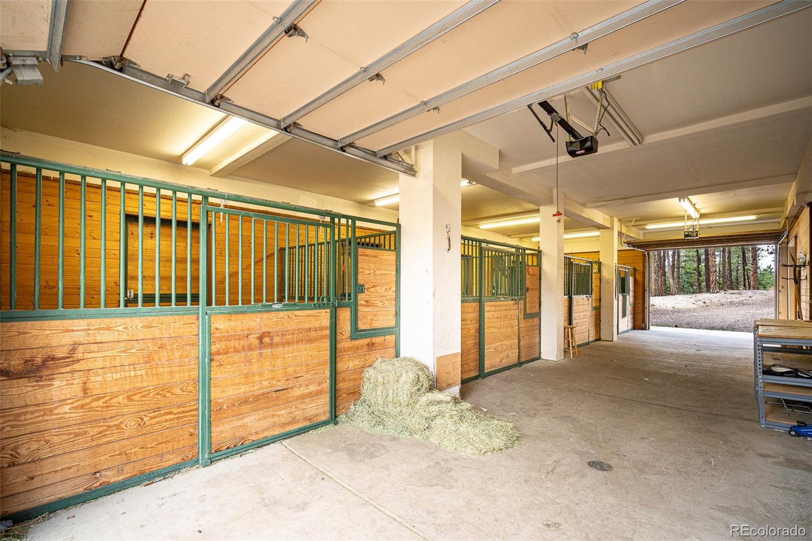 5014 South Perry Park Road Sedalia, CO 80135 - Photo 46 of 50