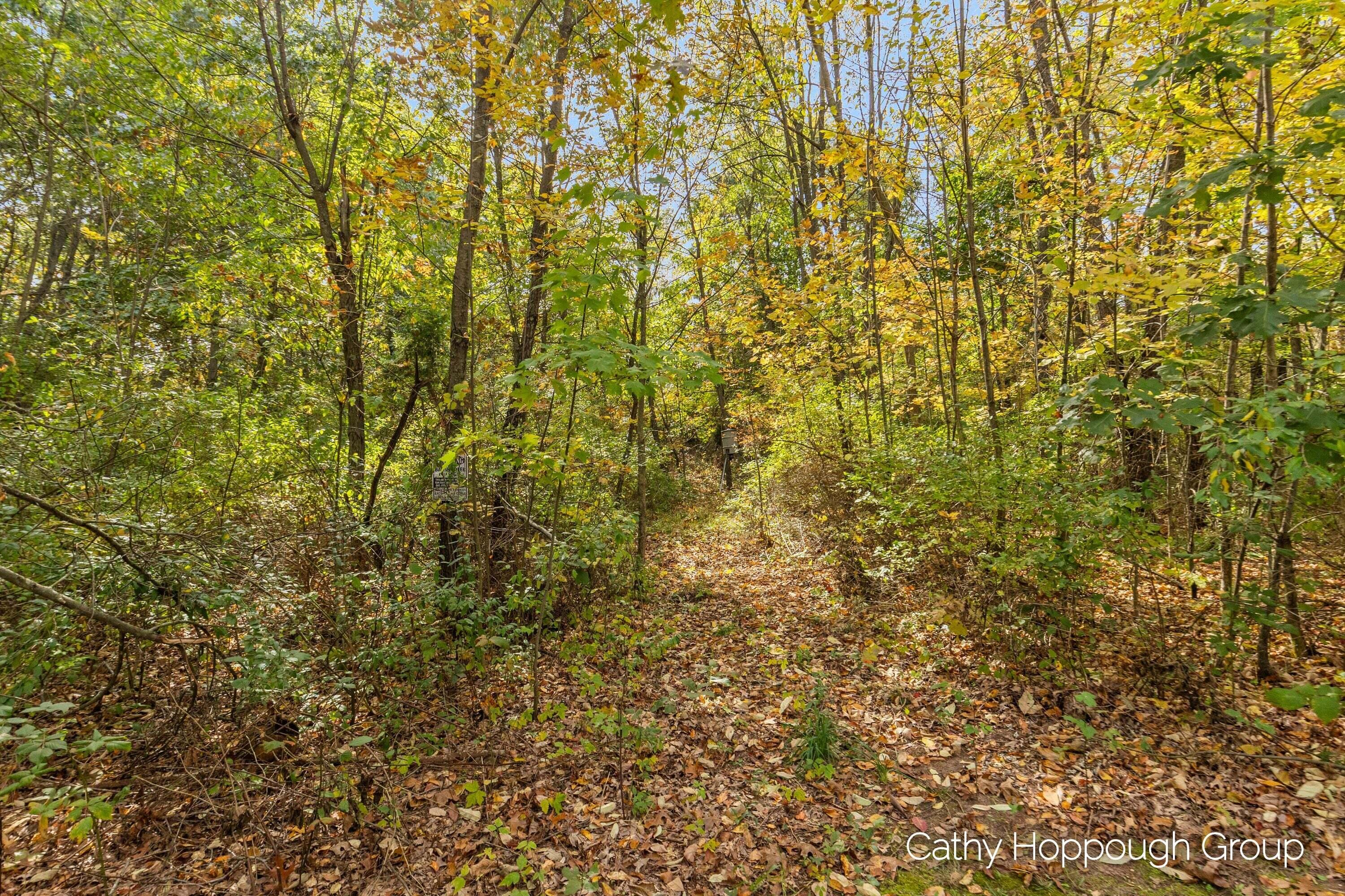 3982 East Bricker Road Fenwick, MI 48834 - Photo 20 of 27 3982 E Bricker_020