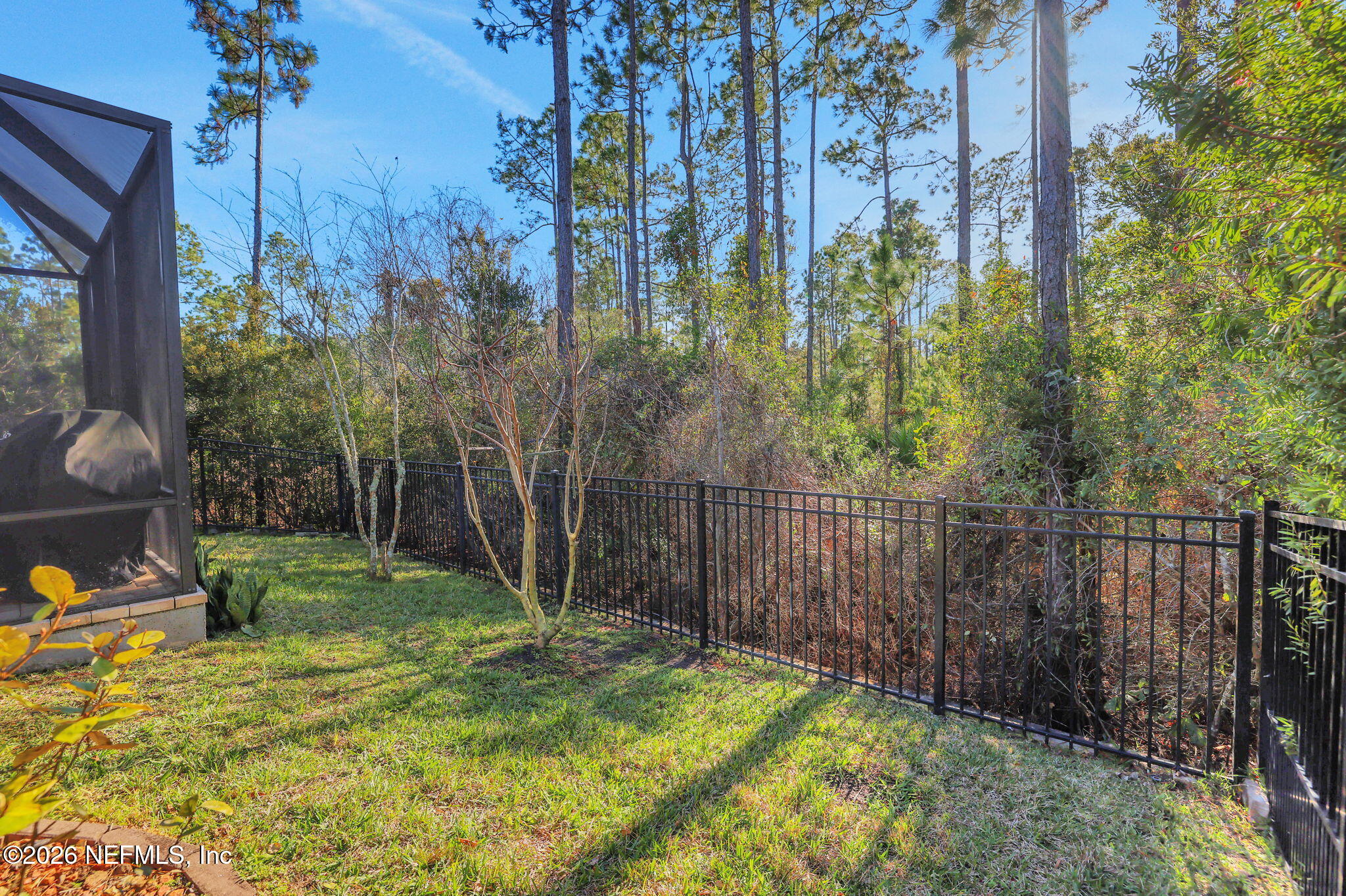 198 Forest Spring Drive Ponte Vedra, FL 32081 - Photo 8 of 56 Backyard