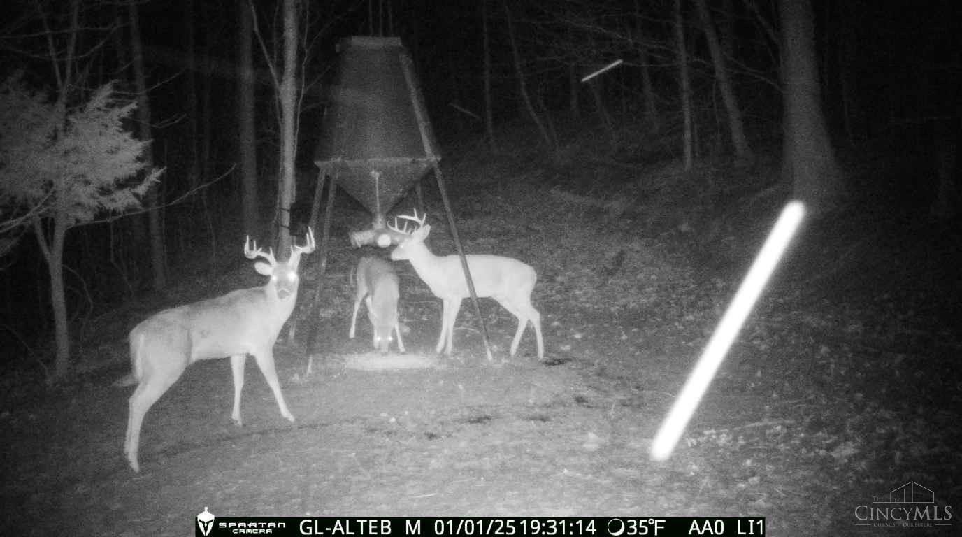 5534 State Rte 7 South Gallipolis, OH 45631 - Photo 68 of 75 Gallery Image 68