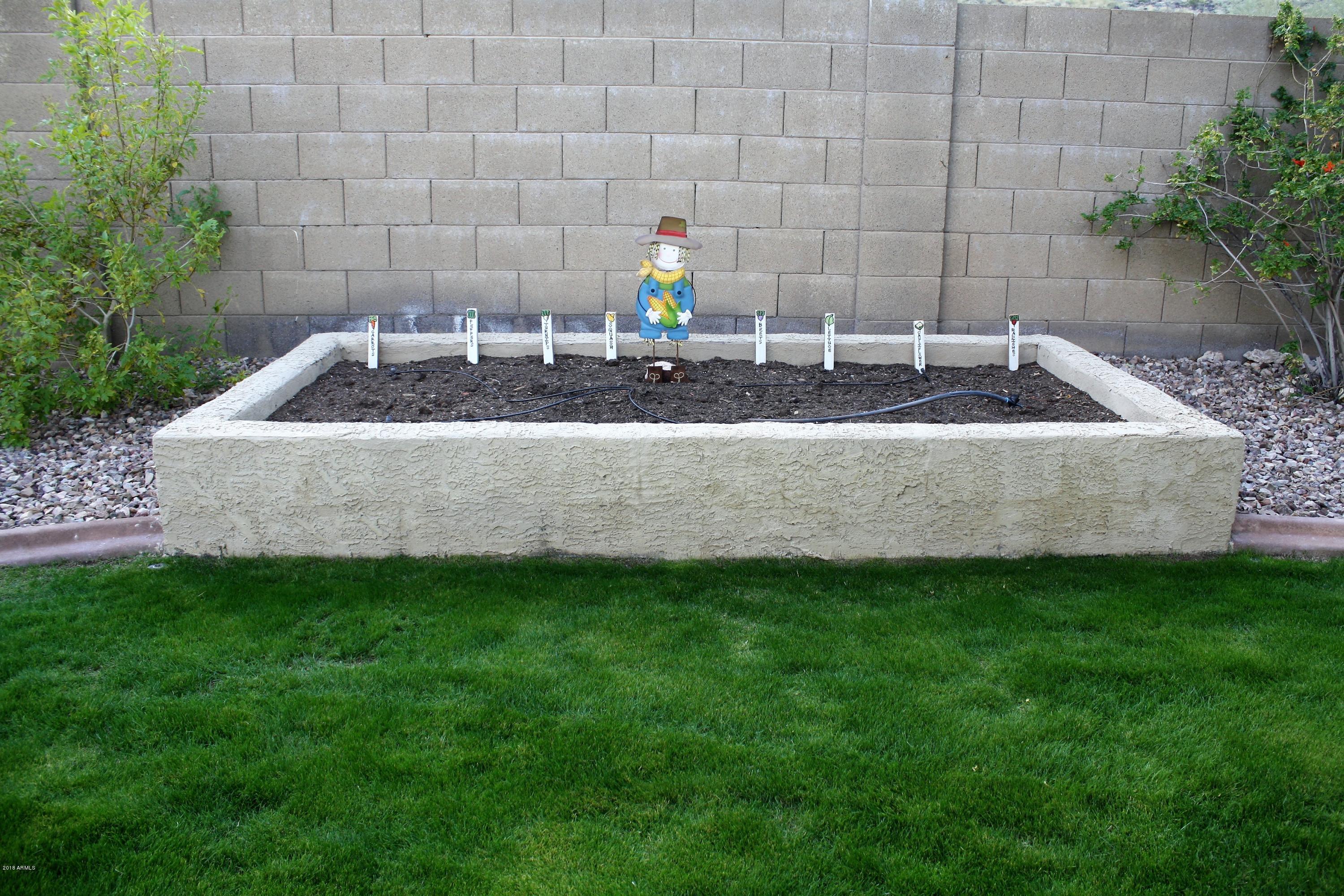4644 West Rowel Road Phoenix, AZ 85083 - Photo 54 of 69 Raised Garden